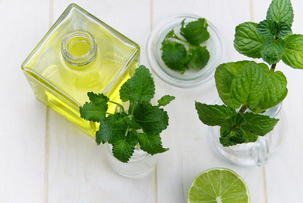 leaf, mint, herb, healthy, food, oil, essential oils, nourishment, medicinal plant, nature, fresh, health, peppermint, lemon, balm, alternative medicine, immune system, depression, beauty, personal hygiene, aromatherapy, fragrance, wellness, vitamins